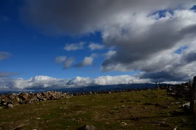 DSC_2903 (Large).JPG